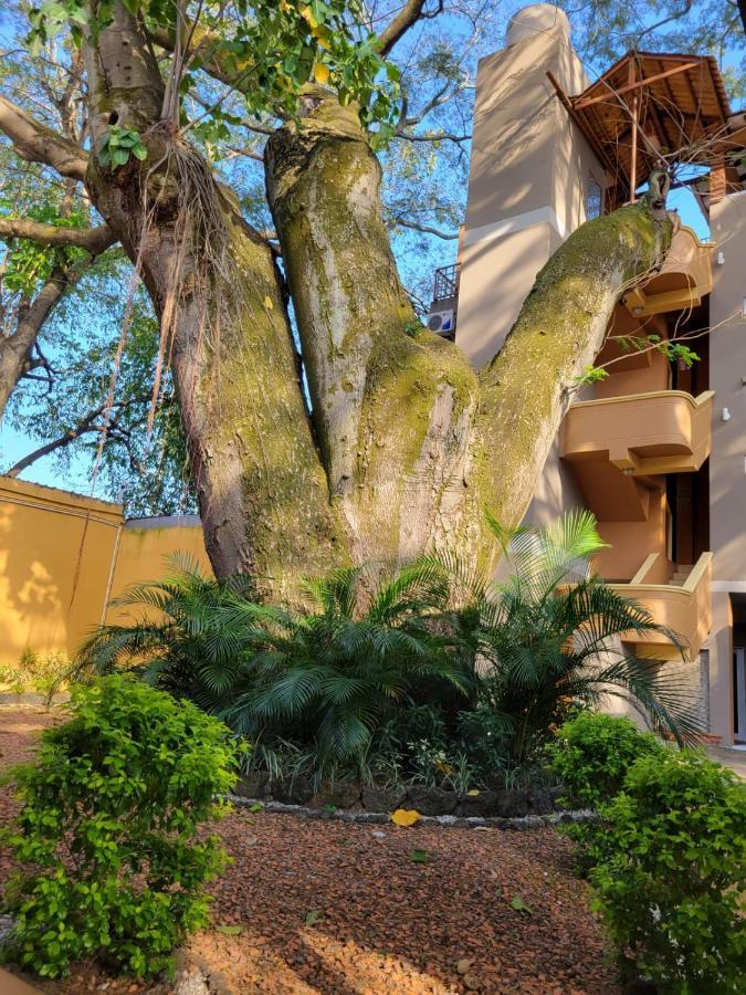 Real Guanacaste San Pedro Sula Exterior foto